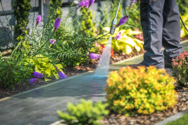 Best Sidewalk and Walkway Cleaning  in Atlantic City, NJ